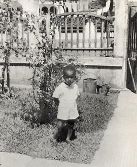 HV011 - Josino de Brito 67